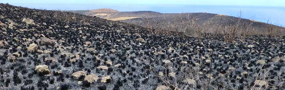 St-Paul - Cap la Houssaye - Incendies du 16 octobre 2012