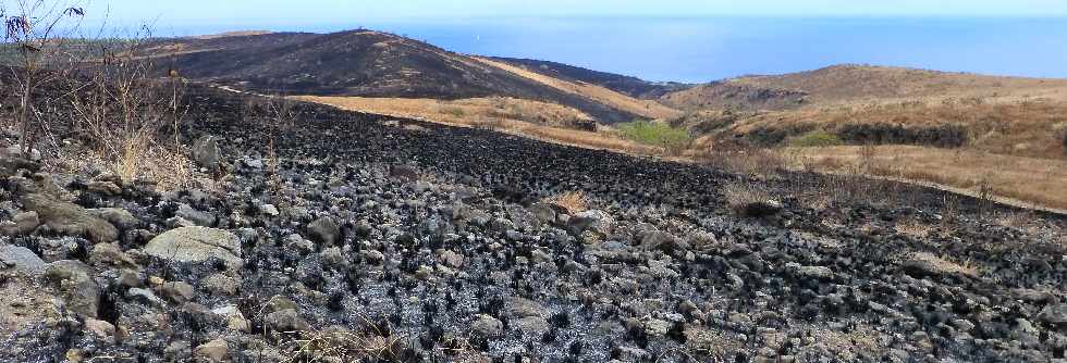 St-Paul - Cap la Houssaye - Incendies du 16 octobre 2012