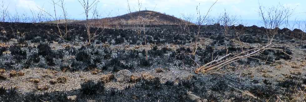 St-Paul - Cap la Houssaye - Incendies du 16 octobre 2012