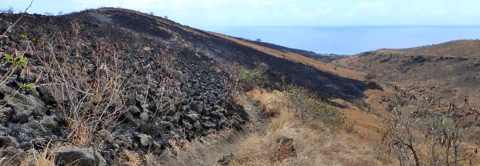 St-Paul - Cap la Houssaye - Incendies du 16 octobre 2012 - Ravine Patent Slip -