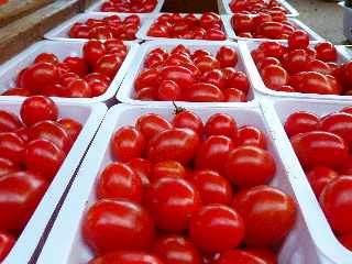 Novembre 2012 - Marché forain de St-Pierre - Tomates cerises