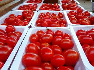 Novembre 2012 - March forain de St-Pierre - Tomates cerises