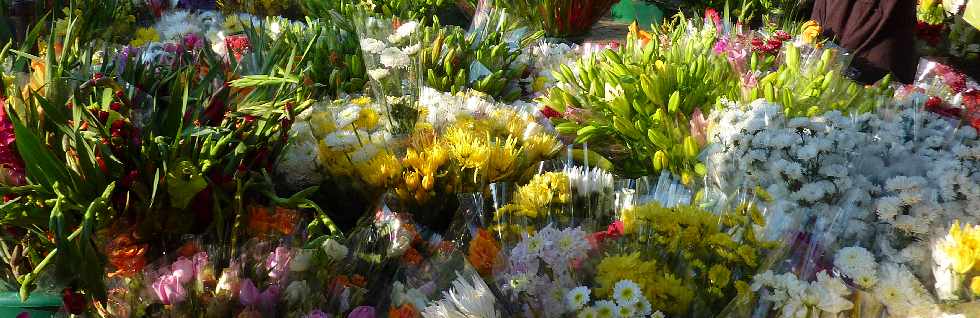 Ravine Blanche - Travaux Rue Albert Luthuli - Novembre 2012 - Fleurs