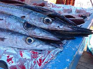 St-Pierre - Ravine Blanche - March forain - Barracudas