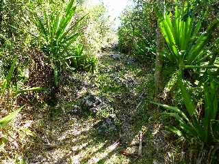 St-Philippe - Sentier littoral vers le Puits arabe