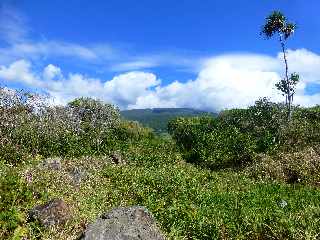 St-Philippe - Sentier littoral vers le Puits arabe