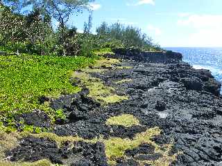 St-Philippe - Sentier littoral vers le Puits arabe