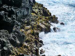 St-Philippe - Sentier littoral vers le Puits arabe