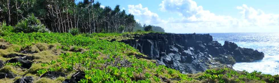 Littoral de St-Philippe, de la Marine au Puits arabe