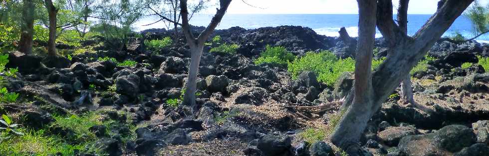 St-Philippe -  Littoral prs de la Pointe de la Mare d'Arzule