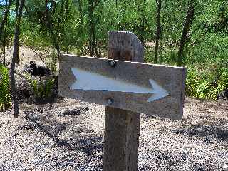 Saint-Philippe - Pointe de la Table - Coule de mars 1986