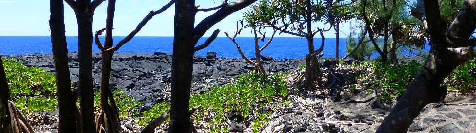 Saint-Philippe - Pointe de la Table - Coule de mars 1986