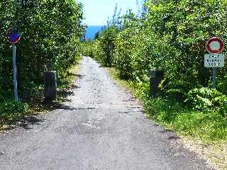 St-Philippe - Pointe de la Table - Piste forestire de Takamaka