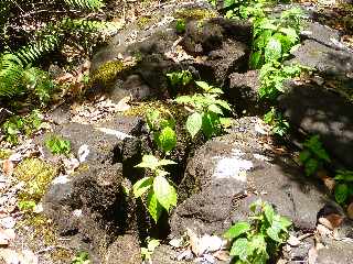 St-Philippe - Sentier longeant la fissure de mars 1986 -