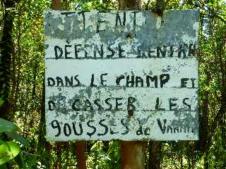 St-Philippe - Sentier longeant la fissure de mars 1986 - Vanille