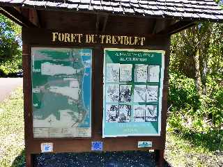 Saint-Philippe - Puits arabe - Forêt du Tremblet