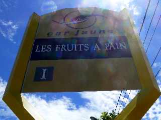 Saint-Philippe - Arrêt Fruits à pain
