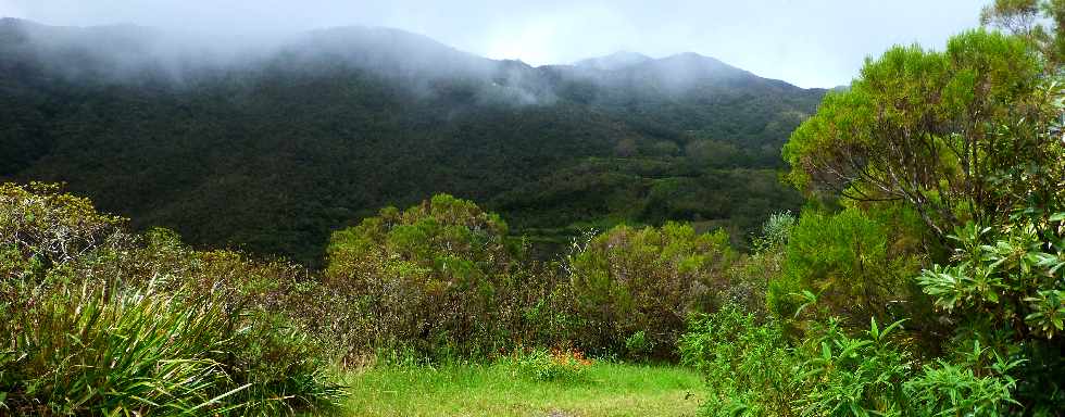 Plaine des Palmistes - Gros Piton Rond - Grande Monte