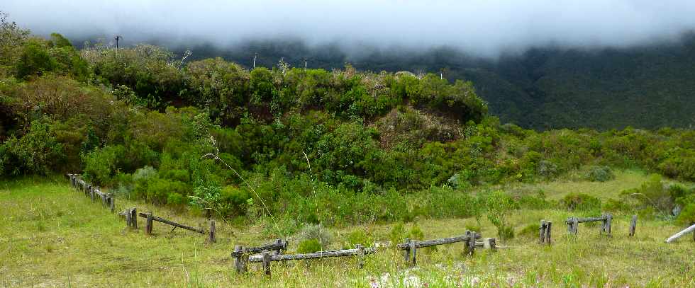 Plaine des Palmistes - Gros Piton Rond - Cratre