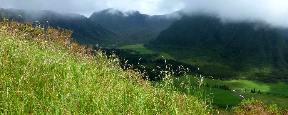 Plaine des Palmistes - Gros Piton Rond - La Petite Plaine