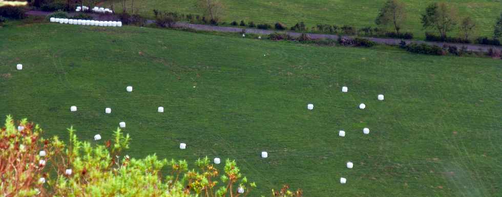 Plaine des Palmistes - Gros Piton Rond - Herbages