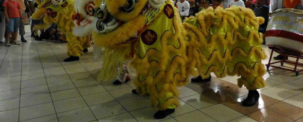 Association Hong De - Danse du lion - 9 fvrier 2013 - Anne du Serpent - Hyper U St-Pierre -