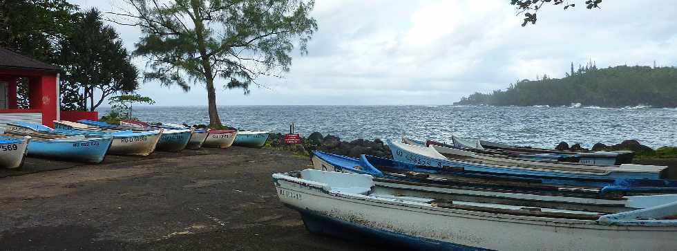 Ste-Rose - Mai 2013 -  Marine de l'Anse des Cascades