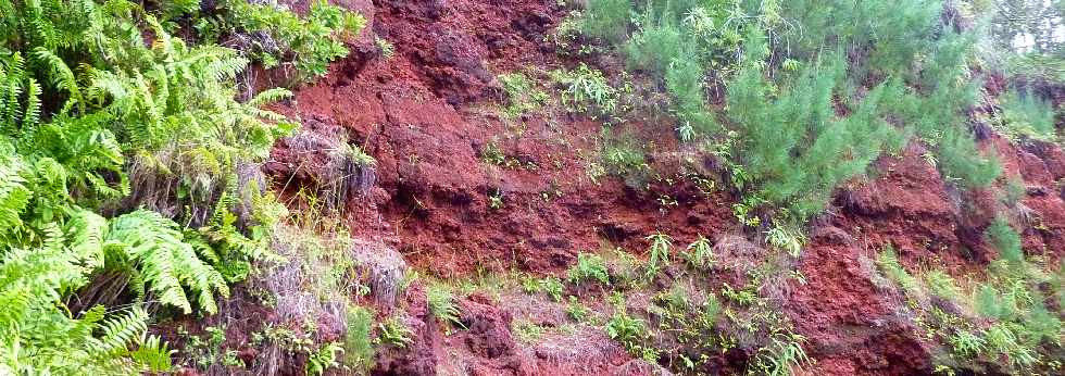 Ste-Rose - Mai 2013 -  Sentier du Gros Piton -  Scories