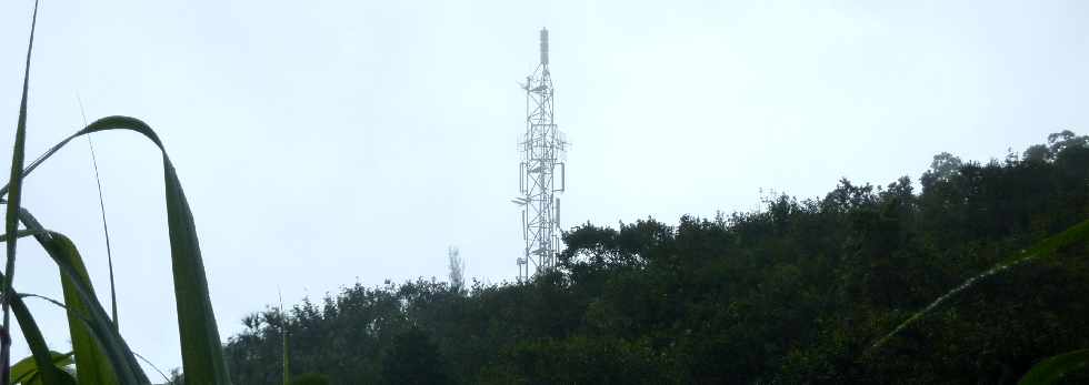 Ste-Rose - Mai 2013 -  Sentier du Gros Piton -  Antennes