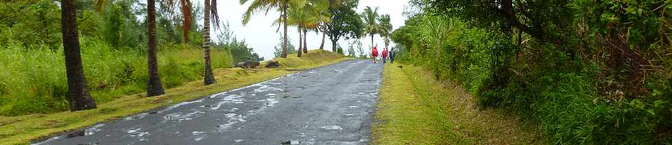 Ste-Rose - Route de l'Anse des Csacades -