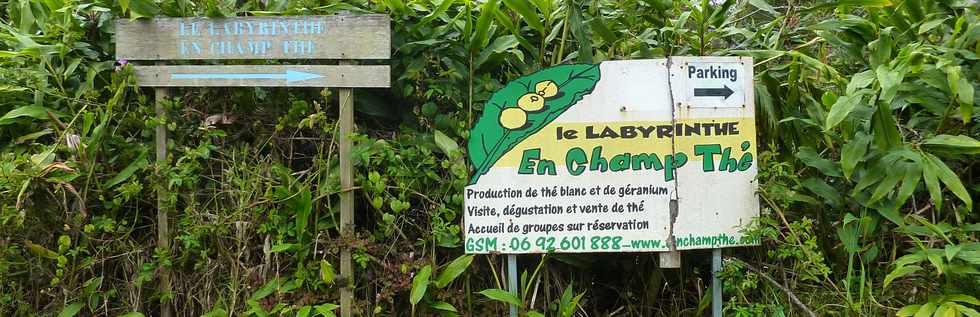 Grand Coude - Le Labyrinthe En Champ Th - Dans une fort de thiers !