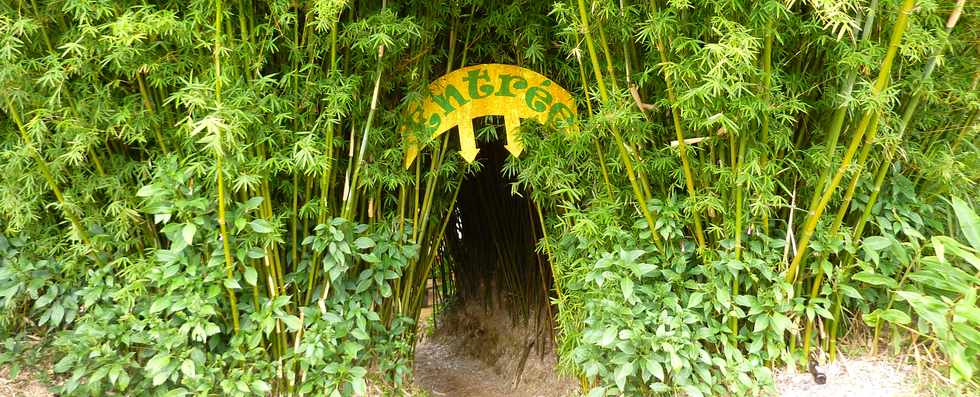 St-Joseph - Grand Coude - Le Labyrinthe En Champ Th - Dans une fort de thiers ...