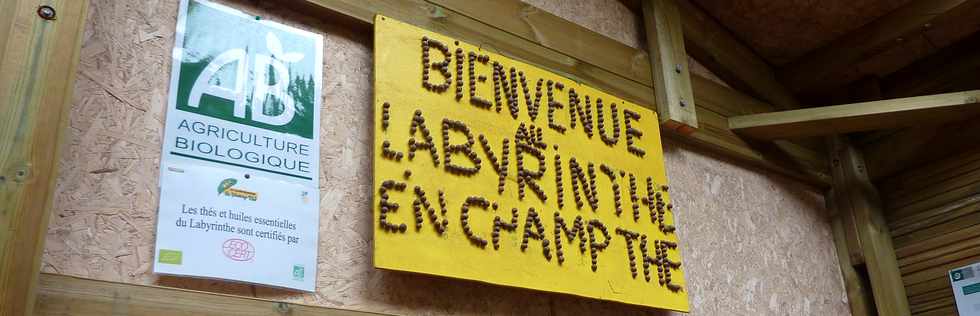 St-Joseph - Grand Coude - Le Labyrinthe En Champ Th - Dans une fort de thiers ...