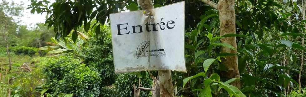 St-Joseph - Grand Coude - Le Labyrinthe En Champ Th - Dans une fort de thiers ...