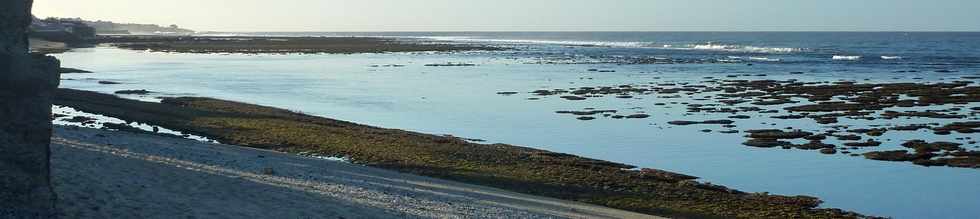 24 aot 2013 - 7h30 - Coraux  dcouvert dans le lagon de St-Pierre