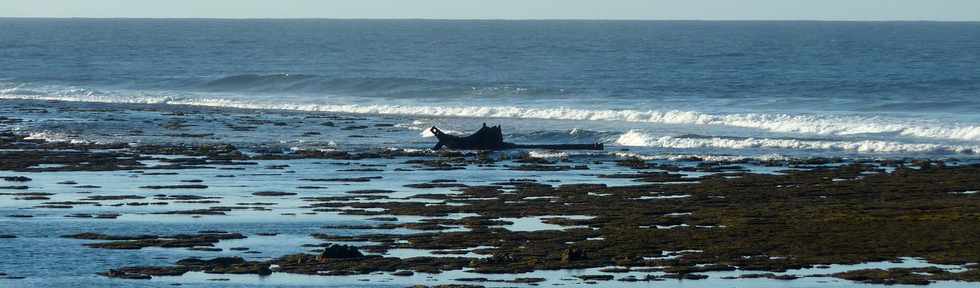 24 aot 2013 - 7h30 - Coraux  dcouvert dans le lagon de St-Pierre