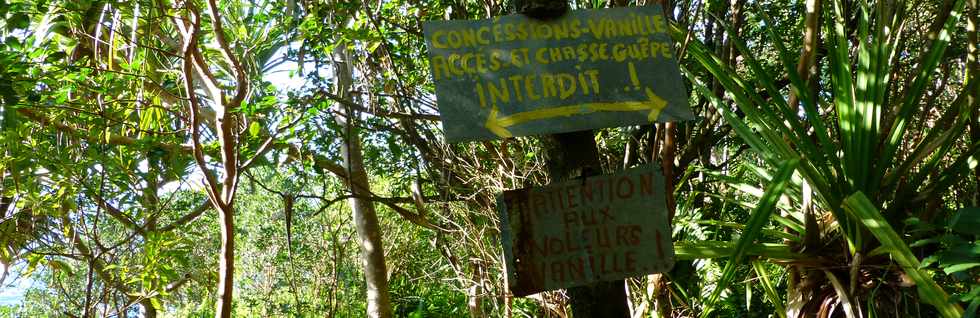 Sentier littoral de St-Philippe - Le Tremblet - Vanille