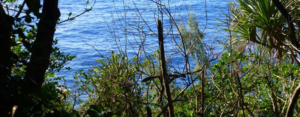 Sentier littoral de St-Philippe - Vue sur mer