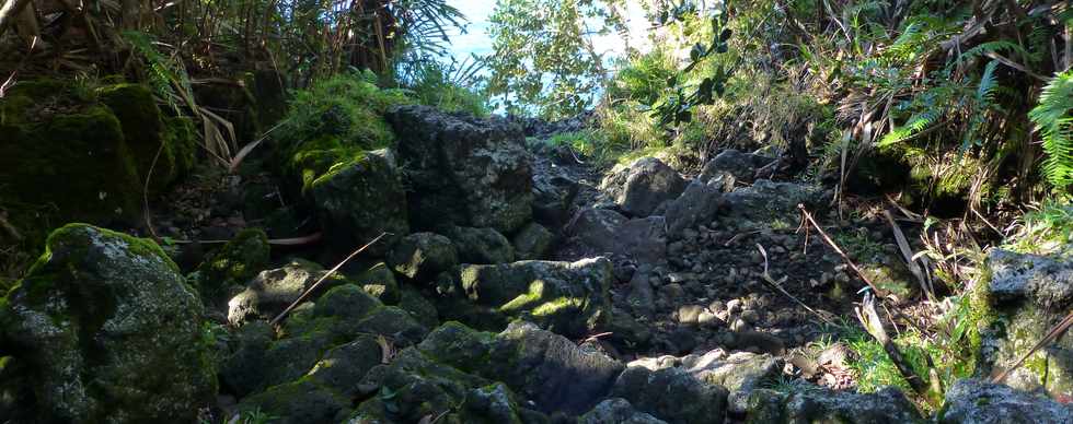 Sentier littoral de St-Philippe - Traverse de ravine