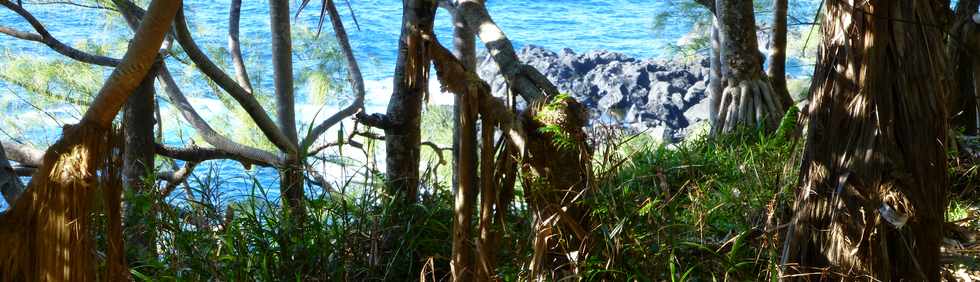 Sentier littoral de St-Philippe - Vacoas