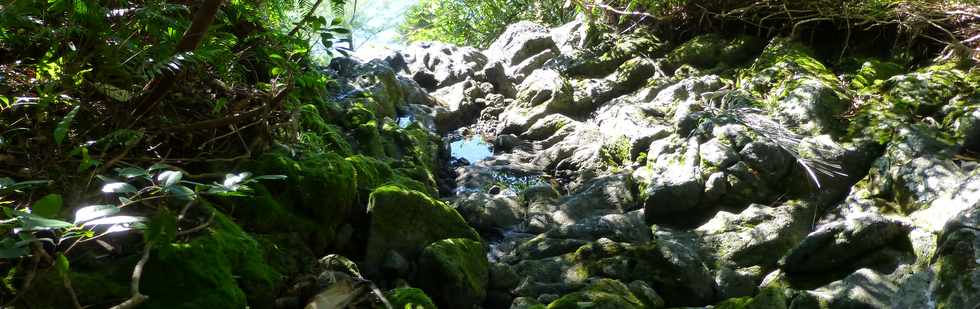 Sentier littoral de St-Philippe - Traverse de ravine