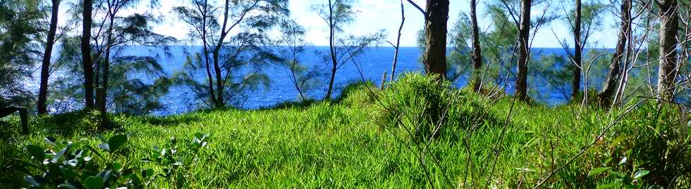 Sentier littoral de St-Philippe - Herbes