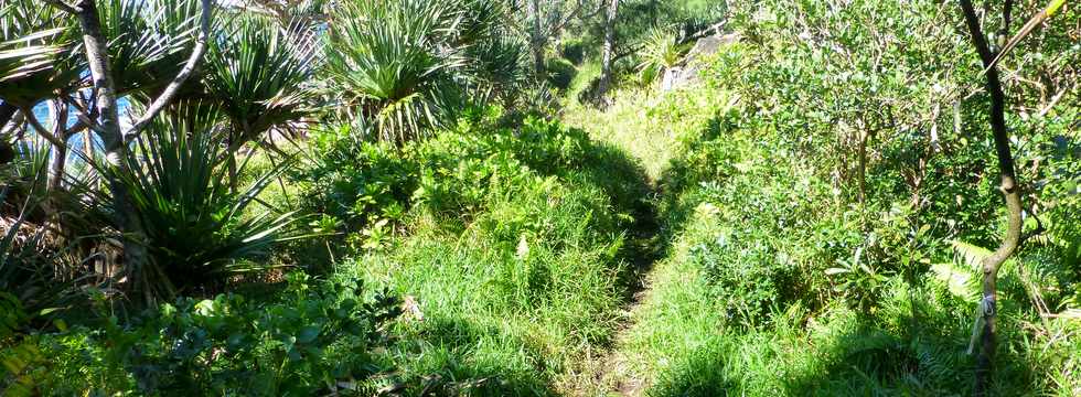 Sentier littoral de St-Philippe -