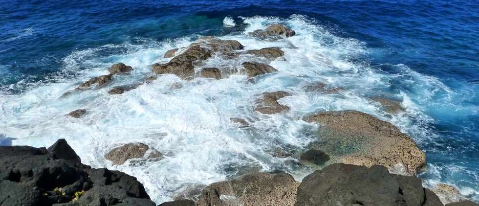 Sentier littoral de St-Philippe - Dos de Baleine