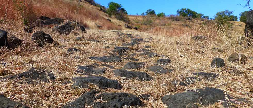 St-Paul - Chemin pav du Bernica -