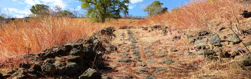 St-Paul - Chemin pav du Bernica -