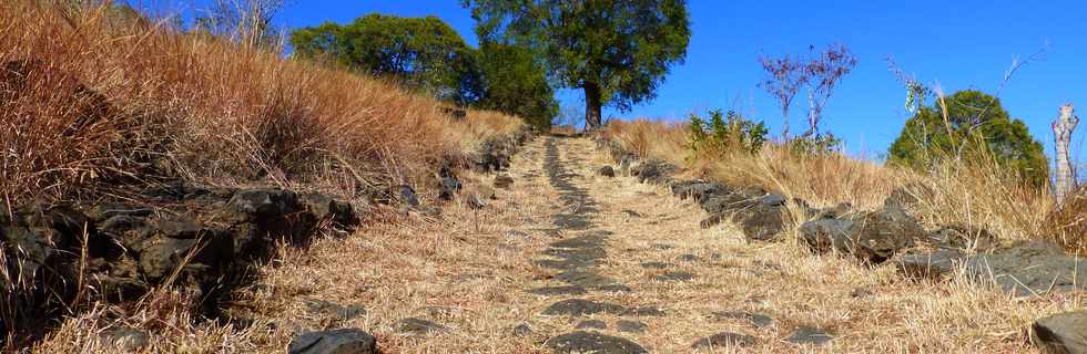 St-Paul - Chemin pav du Bernica -