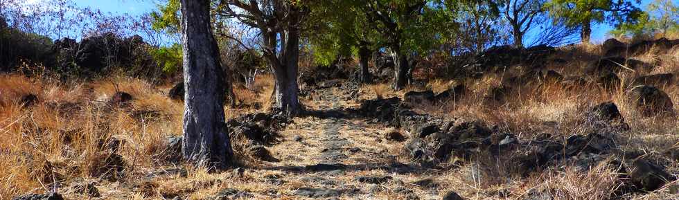 St-Paul - Chemin pav du Bernica -