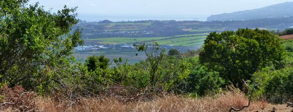 St-Paul - Chemin pav du Bernica -