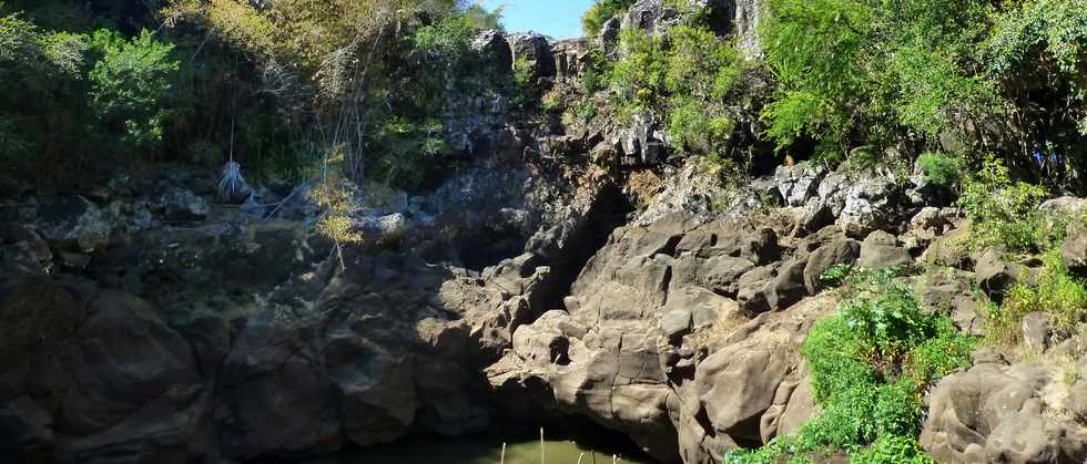 St-Paul -  ravine du Bernica -  Bassin Sandrine